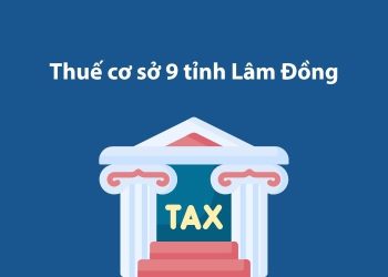 Thuế cơ sở 9 tỉnh Lâm Đồng: Thông tin liên hệ