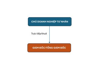 Cơ cấu tổ chức quản lý doanh nghiệp tư nhân 2 Cơ cấu tổ chức quản lý doanh nghiệp tư nhân