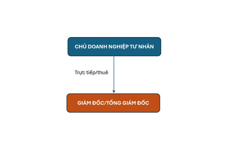 Cơ cấu tổ chức quản lý doanh nghiệp tư nhân
