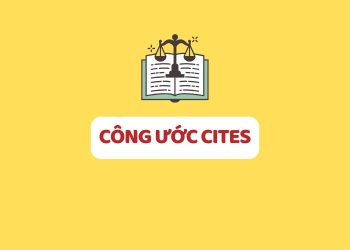 Công ước quốc tế về buôn bán các loại động, thực vật hoang dã nguy cấp (CITES)
