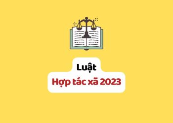 Luật Hợp tác xã 2023