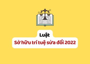 Luật Sở hữu trí tuệ sửa đổi 2022