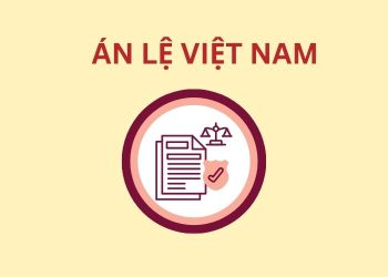 Tóm tắt nội dung cơ bản của các án lệ Việt Nam