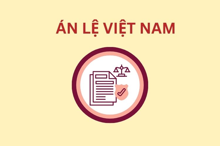 Tóm tắt nội dung cơ bản của các án lệ Việt Nam