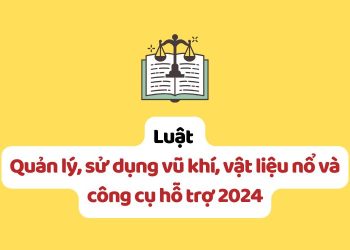 Luật Quản lý, sử dụng vũ khí, vật liệu nổ và công cụ hỗ trợ 2024