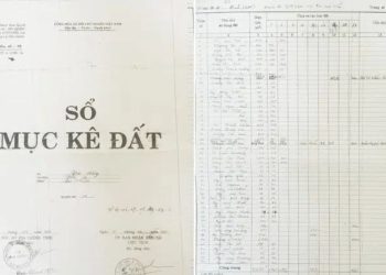 Sổ mục kê là gì? Giá trị pháp lý theo Luật Đất đai
