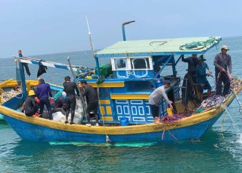 Mã ngành 0331 Hoạt động dịch vụ hỗ trợ khai thác thủy sản 2 Mã ngành 0331 Hoạt động dịch vụ hỗ trợ khai thác thủy sản
