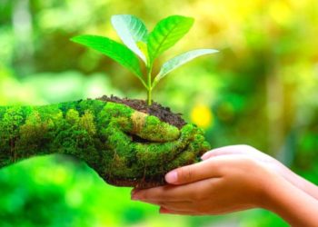 Mã ngành 8413 Hoạt động quản lý nhà nước trong lĩnh vực môi trường