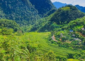 Mã ngành 9142 Hoạt động của khu bảo tồn thiên nhiên