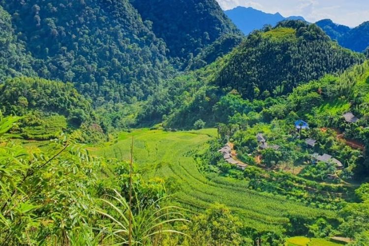 Mã ngành 9142 Hoạt động của khu bảo tồn thiên nhiên