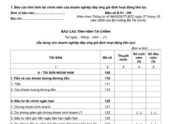 Báo cáo tình hình tài chính (Mẫu số B 01 - DN) theo Thông tư 99