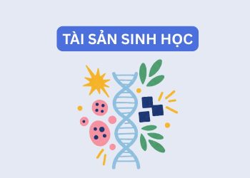 Tài sản sinh học là gì? Những điều cần biết về tài sản sinh học