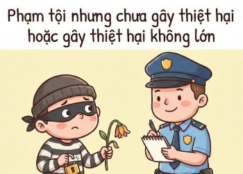 Committing a crime but not yet causing damage, or causing only minor damage 2 Committing a crime but not yet causing damage, or causing only minor damage